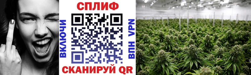 Купить где  Уяр  МАРИХУАНА план 